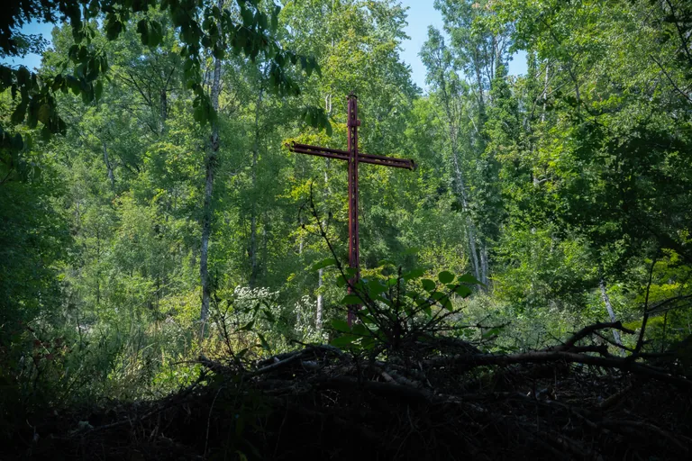 Croix en bois au milieu d’une forêt lumineuse.
